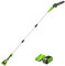 Greenworks 40 V 20 cm Sega ad Asta, Velocità Catena 9,8 m/s, Lunghezza Fino a 2,8 m (con 2Ah Batteria e Caricatore)
