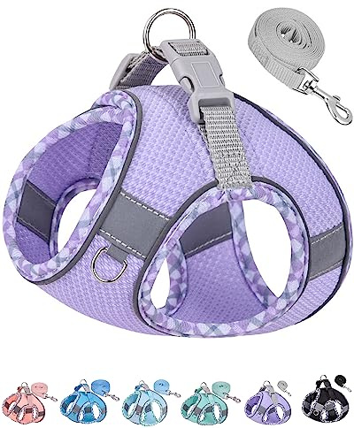 Petank Dog Harness for Small Medium Dogs No Pull, Puppy Harness and Leash Set, Step in Dog Harness for Walking, Running, Training, Small Dog Vest, Medium Dog Vest (Purple, XXS)