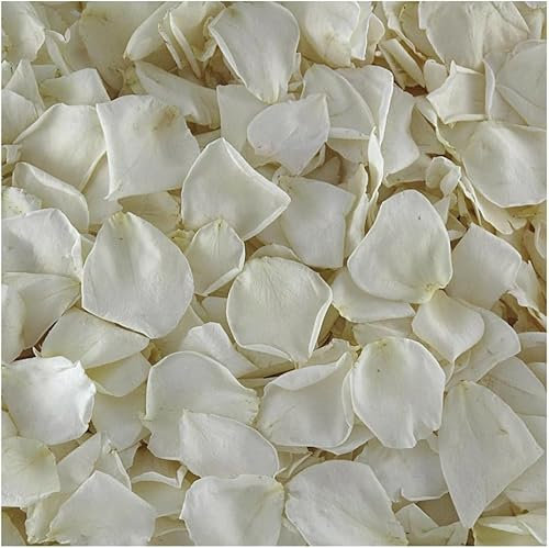 Real Rose Petals Ivory Petals. 15 Cups - 550 Petals Approx. Wedding Petals (White)