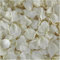 Real Rose Petals Ivory Petals. 15 Cups - 550 Petals Approx. Wedding Petals (White)