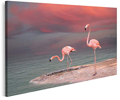 islandburner Prime Bild auf Leinwand rosaroter Flamingo Bilder Wandbild Poster Leinwandbild