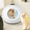 Asciugatrice per Animali Domestici, Scatola per Asciugatura per Cani e Gatti, Scatola per Asciugatrice per Cani Gatti Ultra Silenziosa da 55 Litri con Controllo della Temperatura,220V