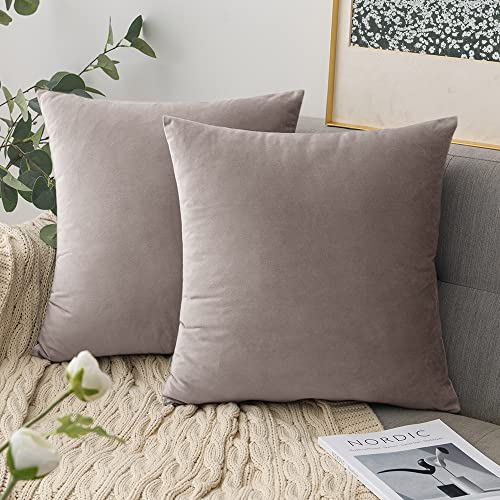 comvii Comvi sofakissen - Kissenbezug 40x40 mit füllung – Samt dekokissen mit füllung und bezug (2 Kissen +2 Kissenbezug 40x40) dekokissen - Kissen mit bezug - (Champagner)