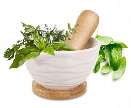 Cole & Mason H111929 Suribachi Pilon et mortier | Broyeur à épices / herbes | Porcelaine émaillée blanche et ensemble de mortier et pilon en céramique blanc