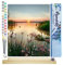 Figured'Art Malen Nach Zahlen Erwachsene Mit Rahmen Ruhiger See - Paint by Numbers Basteln DIY Bastelset 40x50cm Mit Keilrahmen (nicht gespannt)