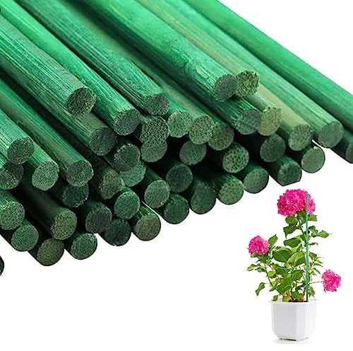 Almineez 50Pcs Green Plant Support Sticks 60cm / 24 inch Bamboo Plant Stakes Split Canes, Floral Sticks Garden Flower Sticks for Orchid Pea Vegetables Support Floral Plant Stakes
