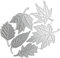 Stanzschablonen für Blätter, Prägeschablonen für Geburtstagskarten, DIY, Scrapbooking, Blatt-Stanzformen für Kartenherstellung, Herbstblatt-Stanzformen für Klassenzimmer, Ahornblatt-Stanzformen