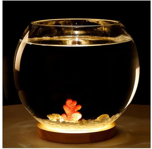 DUBTEDHOU Kleines Aquarium,Starter Aquarium, Extra klares Glasgehäuse – Aquariumbehälter for Goldfische, Garnelen, Guppys mit USB-Basis for warmes und kaltes Licht