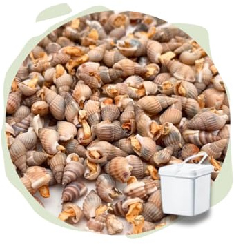 Warnick's Naturhäppchen Schnecken gefriergetrocknet - 100 g im Eimer | Naturfutter für Zierfische, Garnelen & Krebse - Gefriergetrocknet & naturbelassen - Wertvolle Nahrungsergänzung