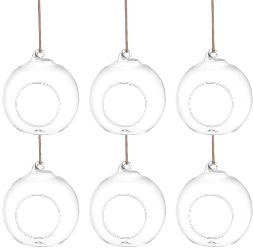NOLITOY 6 Stück Hängende Glas-terrarien mit Flachem Boden Umweltfreundlich mit Juteseil Vielseitig für Sukkulenten Pflanzenaufhänger und Wohnraumdekoration Geeignet