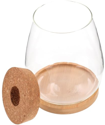 Vase à Fleurs en Verre pour Plantes Hydroponiques avec Support Bambou | Lot de 1 Set de Set, Format Terrarium, pour Fleurs et Plantes, Style Simple, Usage Bureau ou Présent