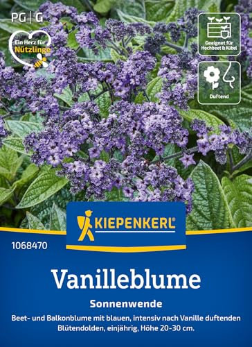 Kiepenkerl Vanilleblumensamen Sonnenwende 1068470 - blau - intensiv duftend - Vanillegeruch - einjährig - Blütendolden - Saatgut, Blumensamen, Pflanzen