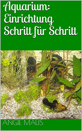 Aquarium: Einrichtung Schritt für Schritt