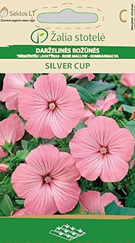 Seklos LT| MAUVE SILVER CUP | Graines de fleurs | Graines de plantes | Graines de jardin | La Mauve en coupe pousse de manière herbacée à buissonnante | Graines de jardin | 1 paquet