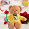 Valentine Gifts Personalised Teddy Bear with Photo and Text, Stuffed Animals Valentine Teddy Bear with Rose and Bow as Im sorry gifts for Her on Valentine/ Anniversary/ Birthday (12 IN-Hoodie-Yellow)