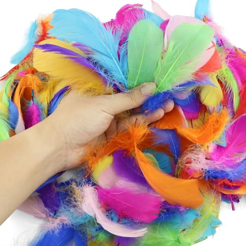 FAREASTSHOP 350 plumas de gallo coloridas – 7 – 12 cm plumas de colores para manualidades, bodas, fiestas, decoraciones, manualidades, sombreros o pelo
