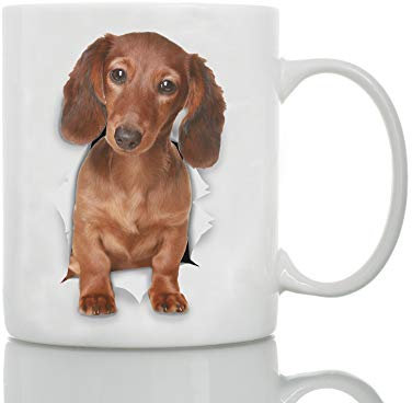 Taza de cerámica divertida con diseño de perro salchicha – Taza de café divertida – Gran regalo de cumpleaños o Navidad sorpresa