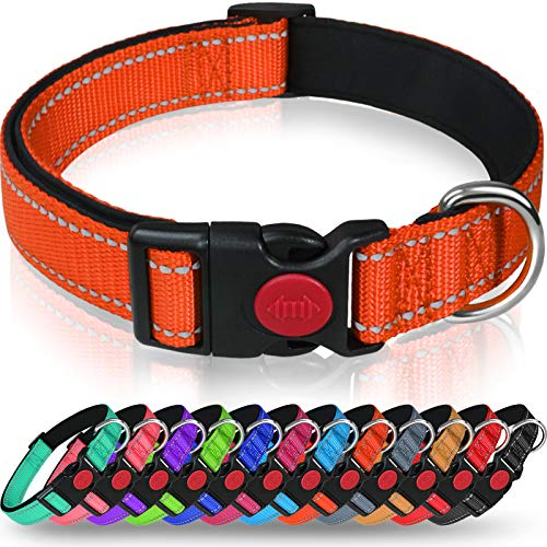 Taglory Hundehalsband, Weich Gepolstertes Neopren Nylon Hunde Halsband für Kleine Hunde, Verstellbare und Reflektierend für das Training, Orange