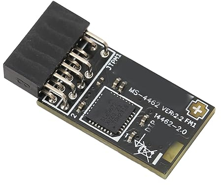 GOWENIC TPM 2.0 Module, TPM SPI Module 12Pin Encryption Security Module with SLB 9672, for Motherboard, for 10 11