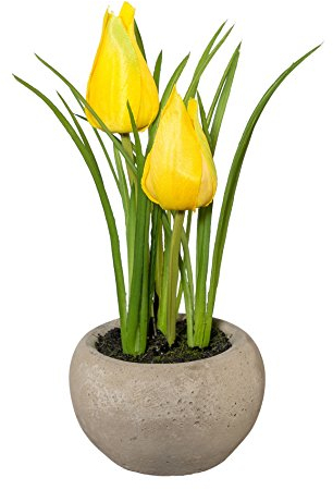 creativ home Kunstpflanze TULPE im Zementtopf. Ca 15 cm. Tulpen getopft. GELB.