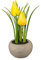 creativ home Kunstpflanze TULPE im Zementtopf. Ca 15 cm. Tulpen getopft. GELB.