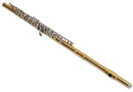 Asixxsix C-Flöte mit Geschlossenem Loch, 16 Tasten, Flöteninstrument mit Tragetasche, Handschuhen, Stimmstab, Schülerflöte für Anfänger, Musikinstrument für Kinder