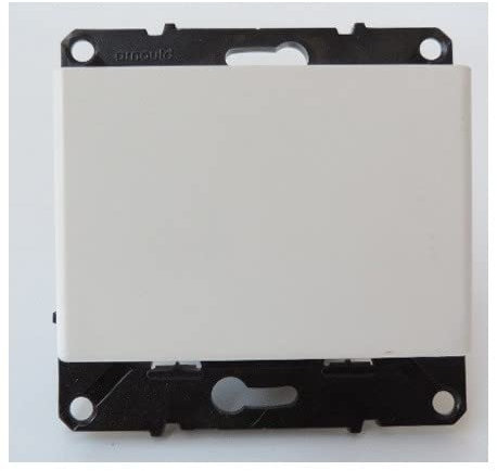 Arnould - INTERRUPT A BADGE ESP.EV BLC