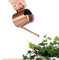 Regadera de bonsái pequeña de Acero Inoxidable de 300 ml, Estilo Moderno, para Interiores y Exteriores, Planta para rociar, Flor, caño Largo, para Uso doméstico, Color Cobre