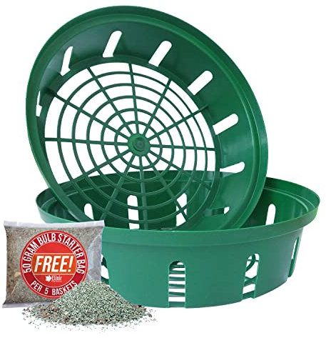 Elixir Gardens Green Plastic 30cm Bulb Planting Baskets | Quantities of 1-20 | Daffodils, Tulips, Crocus, Iris, Hyacinth & Snowdrop Easy Planters for Hanging Basket/Flowerbed | x 4