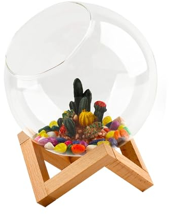 FewNvWa Ensemble de Mini Aquariums, Pot en Verre Transparent, Réservoir Polyvalent, m