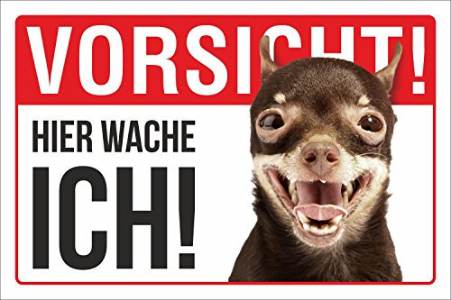 Schild Vorsicht Hier wache ich Chihuahua Hund 600 x 400 mm