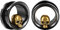 COOEAR 1 Paar Ohrmessgeräte Piercing Black Ear Tunnels Schädelstopfen Edelstahl-Schraubenohrringe.