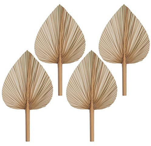 Rbenxia 4 pezzi foglie di palma essiccate naturali a forma di cuore Boho palma fan tropicali foglie di palma fiori secchi per vacanze, matrimoni, feste, baby shower Decor