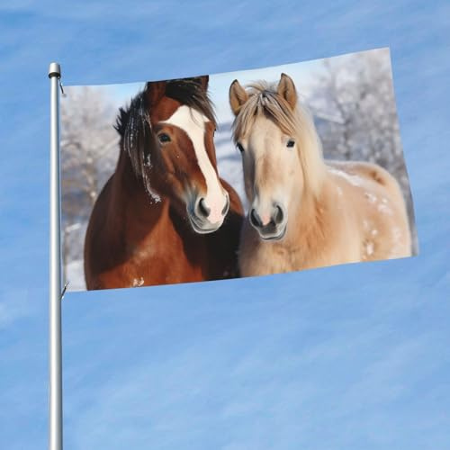 Flagge, 150 cm x 90 cm, doppelseitige Outdoor-Flagge, robustes Banner mit 2 Ösen, Dekoration, Hofflaggen, zwei Pferde, die im Schnee stehen, Polyester, Willkommensflaggen für Urlaub, Hof, alle