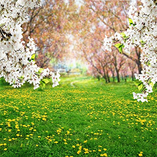 YongFoto 2x2m Foto Hintergrund Fr黨ling Landschaft Gr黱es Gras Baum Wei遝 Blume Wiese G鋘sebl黰chen Sommer Natur Fotografie Hintergrund Fotoshooting Portrait Party Kinder Hochzeit Fotostudio
