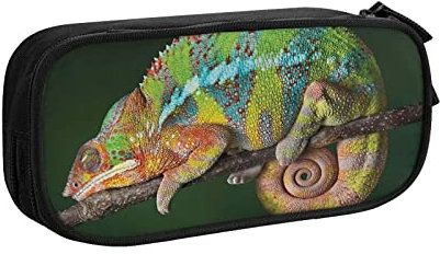 Federmäppchen Große Kapazität Federmäppchen Reptilien Bleistift Tasche Büro Stifthalter Organizer Schreibwaren Tasche für Mädchen Jungen Werbung, farbe, 5.0cm*10.5cm*20.5cm, federmäppchen