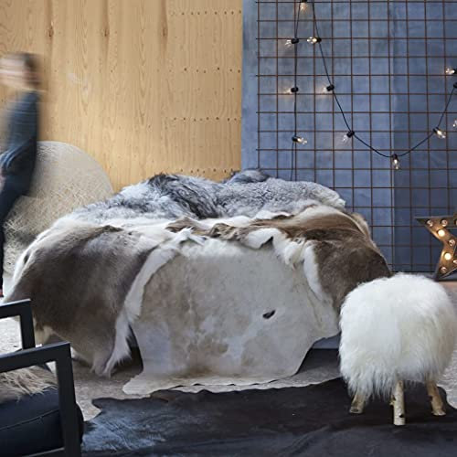Homgoday Echt Kuhfell Teppich Braun und Weiß 150x170 cm, Teppich Matte für Wohnzimmer, Schlafzimmer und Küche, für harten Untergrund Boden