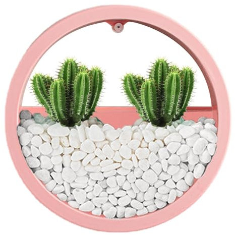 Maceta de pared redonda, florero de maceteros de pared,Contenedores transparentes para colgar plantas - Maceta redonda circular para interiores, contenedor Vertical para colgar en la pared, decoración