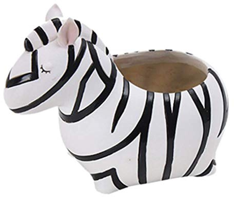 Adtop Mini Flower Pot Balcony Garden Plant Planter Pots Containers for Succulent, Cactus,Cactus Aloe,Vera (Zebra Shape)