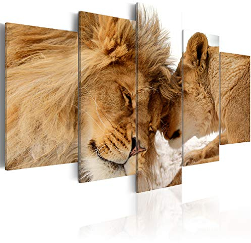 decomonkey Bilder Tiere 200x100 cm 5 Teilig Wandbild Groß Leinwandbild XXL Deko Wohnzimmer Schlafzimmer Büro Wanddeko Leinwand Pictures For Wall Poster Wall Painting Wandbilder Set Natur Abstrakte