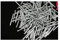 Carton Nails Wall Nails Round Nails Nails-2.5 inches (60mm) 200g