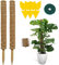 Hongyans 2 Pièces Tuteur Monstera 50cm Support Plantes Grimpantes Tuteur Coco pour Plante Maison Jardin avec Serre Câbles, Ficelle de Jute, Attrape Moucheron