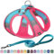 AIITLE Bequemes Hundegeschirr und Leine Set zum Gassi gehen - Step in Vest Harness, Reflektierende Bänder, Einstellbare No Pull Puppy Essentials, für kleine Hunde und Hauskatzen Knalliges Rosa XS