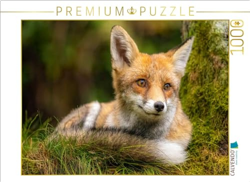 CALVENDO Puzzle Fuchs | 1000 Teile Lege-Größe 64 x 48 cm Foto-Puzzle für glückliche Stunden
