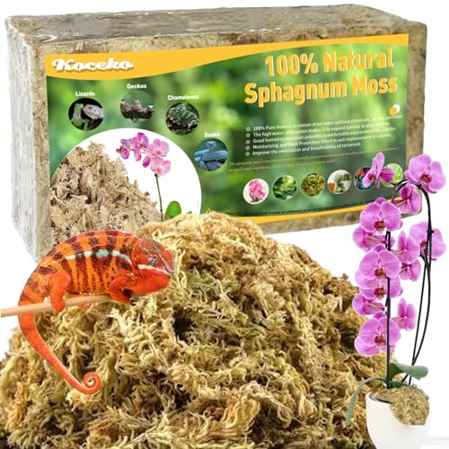 200g Sphagnum Moos für Pflanzen Orchideen Terrarium Blumenerde Zimmerpflanzen Feuchtigkeitsspendende Ernährung Organisches Torfmoos Organischer Dünger für Phalaenopsismit Gelbsticker Trauermücken