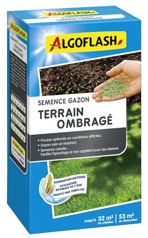 Algoflash Semence Gazon Terrain Ombragé - 800 g, Verte