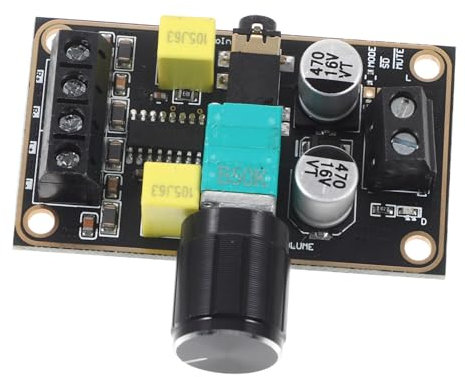 DOITOOL Audioverstärkerplatine Röhrenverstärker Subwoofer-Verstärker Mini-Verstärker klangverstärker digitalverstärker Verstärkerplatine der Klasse A Mono-Verstärker Audioteile Metall