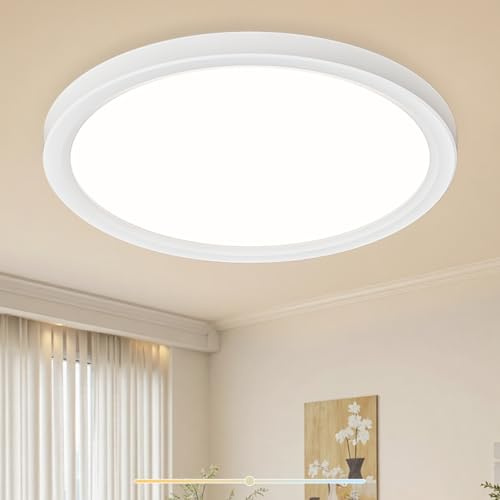 Birnetek® Deckenlampe LED, Deckenleuchte Rund 3000K, 4000K, 6500K, 36W 3000LM, IP44 Wasserdicht, Modern Schlicht Lampe für Wohnzimmer, Badezimmer, Schlafzimmer, Küche, Dünn, 390 * 21mm