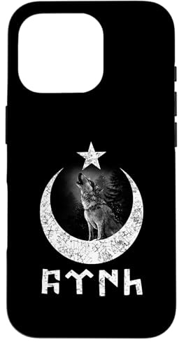 Türk Göktürk Schrift Hilal & Yildiz & Bozkurt Design Hülle für iPhone 16 Pro