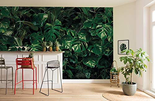 Komar Vlies Fototapete - Tropical Wall - Größe 400 x 250 cm (Breite x Höhe) - Wand Tapete Wohnzimmer Schlafzimmer Dschungel Monstera Blätter Dekoration Wandbild - P333-VD4